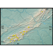 Molecular diversity of Protura in southern ...