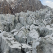 Inventory of medium- to large-sized wild ...