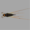 Species assemblages of aquatic and semi-aquatic ...