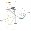 Contrasting environmental drivers of ...